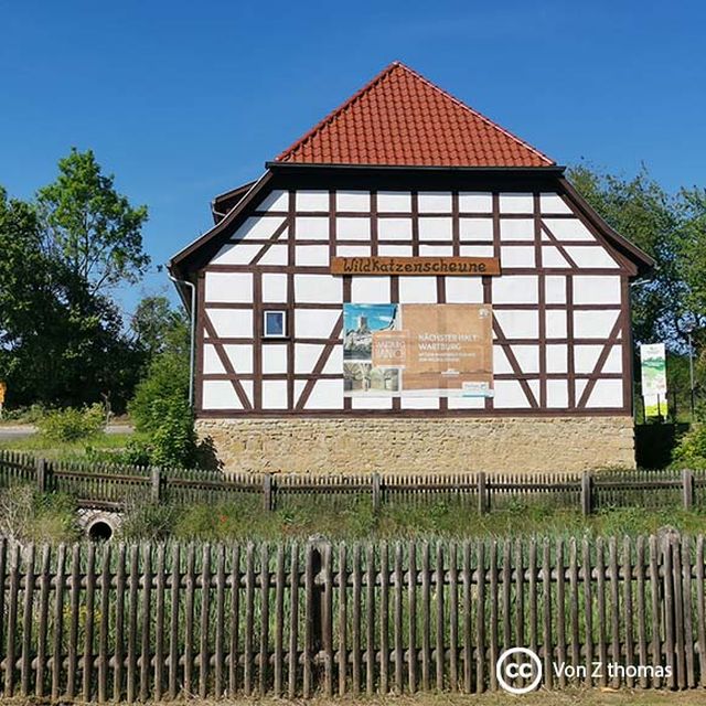 wildkatzendorf